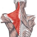 나음 | 군산 마사지 경락 더나음 (목 어깨 후기)