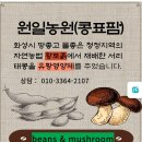 원일농원 이미지