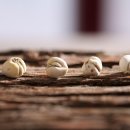 연일비디오 | 펄어비스, 붉은사막 300만 돌파! 초반 혹평 뒤집은 역대급 반전과 주가 전망