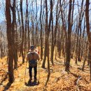 기룡산정상 이미지