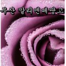 깔리엔떼 이미지