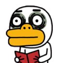 폴아카데미