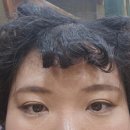 알지오헤어 네이버블로그