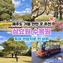 상효원 | 제주 서귀포 가볼 만한 곳 추천 상효원 수목원 입장권 투어 관람차 기념품샵