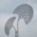 은행나무로 이미지