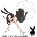 약후) 바니걸 알아보는 만화 이미지