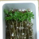 군서농장 이미지