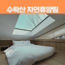 별헤는밤 | 서울 수락산 동막골 자연휴양림 수락휴 트리하우스 별헤는밤 가격 예약 꿀팁