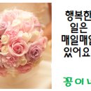 꽃쑤니 이미지