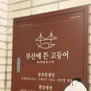 부산맛집 생선구이 | 부산 사상 생선구이 맛집 | 부산에뜬고등어 사상직영점 후기