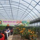 고산팜 주식회사 | [전라남도 영암군] 야미야미팜(야미야미팜농업회사법인(주))