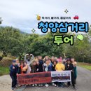 청양삼거리투어 2탄, 익어가는 가을 밤 2일차