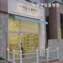 자연앤동물병원 | 수원동물병원 자연앤동물병원 편안한 진료 환경 조성