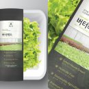 디자인샐러드 이미지