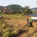 옹동면사무소 이미지