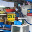 성일호