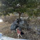 대아골프존 이미지