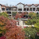 스타벅스시흥프리미엄아울렛(스타벅스시흥P아울렛) | 가을 가득한 시흥 프리미엄 아울렛 카페 3층 스타벅스 매장에서 커피한잔