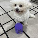 현대종합펫(현대동물병원) | 강아지 동물병원 영양제 제리스타일스 브레스 급여후기