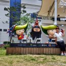 풍물시장 복닭 이미지