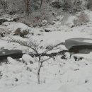 별빛강가펜션 이미지