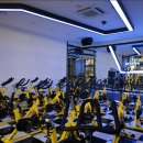 스파리스 이미지