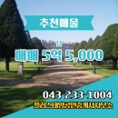 플러스태양공인중개사사무소 이미지