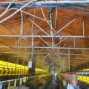 지정축산 이미지