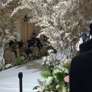 830샐러드&키토 태전매천점 | 결혼식,랑잠,엄브로,마제소바,파스타해먹기,배통,다이어트,키토김밥,샐러리아,텍사스로드하우스,타코야키