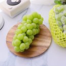 서진농장2 이미지