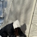 아이비오토캠핑장 | 캠핑808 i15 충주호 애견동반캠핑장 호수뷰 운무뷰가 최고