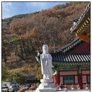 진주 청곡사 목조석가여래삼존좌상 | 월아산 청곡사
