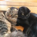 까미농장 이미지