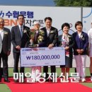 SH골프 이미지