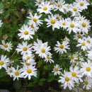 하늘정원2 이미지