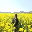 신광발전소 이미지