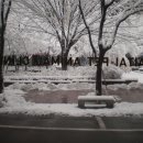 해태동물병원 이미지