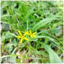 더나은PC | 사무용 모니터 27인치 24인치 가성비 제품 추천 후기