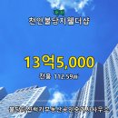 불당지웰더샵아파트 | 천안불당지웰더샵 102동 · 아파트 · 매매 · 13억 5,000