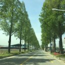 UR(상주시)-[덕암로]-하-9 | 예천 더비경 풀빌라펜션 후기