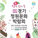하루화