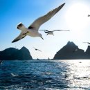 우리의땅 이미지