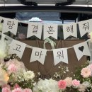 참플레르 이미지