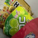 코코로팡 | 젤얼먹