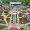 곡성-143 | 곡성 장미축제 근처 숙소·맛집 추천 | 1박 여행 코스·펜션·로컬 식당 총정리