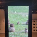 서울관 | 국립현대미술관 서울 미술 전시회 후기 서울관 설치미술 소멸의시학 삭는 미술에 대하여