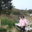 의야지바람마을 이미지