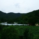 뽕이랑 귀농이랑 이미지