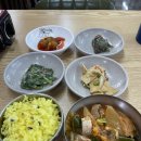 밥과찌개 | [춘천 맛집] 신촌리 김치찌개 – 혼자 방문해 먹은 강황 밥과 김치찌개 솔직 후기