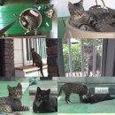 태훈농장 이미지